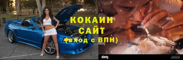 jwh Пересвет