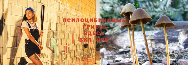 твердый Мегион