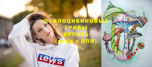 твердый Мегион