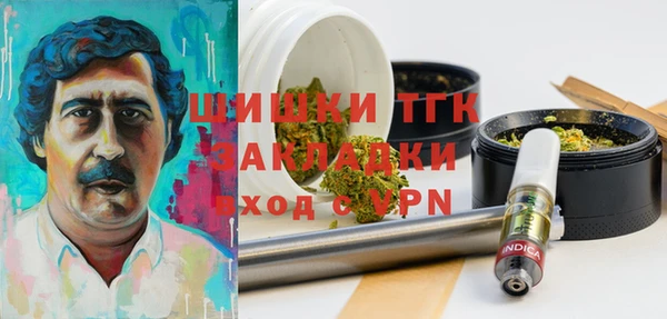 твердый Мегион