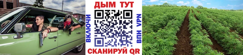 что такое наркотик  Нариманов  Шишки марихуана план 